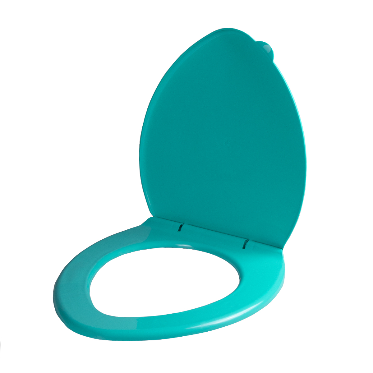 Сиденье для унитаза бирюза (1/9) "мультипласт"