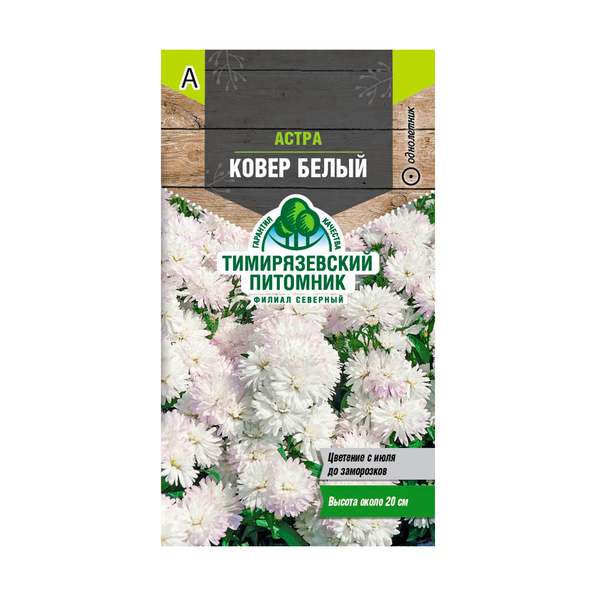 Семена цветов астра низкорослая "ковер белый" 0,2 г (10) "тимирязевский питомник"