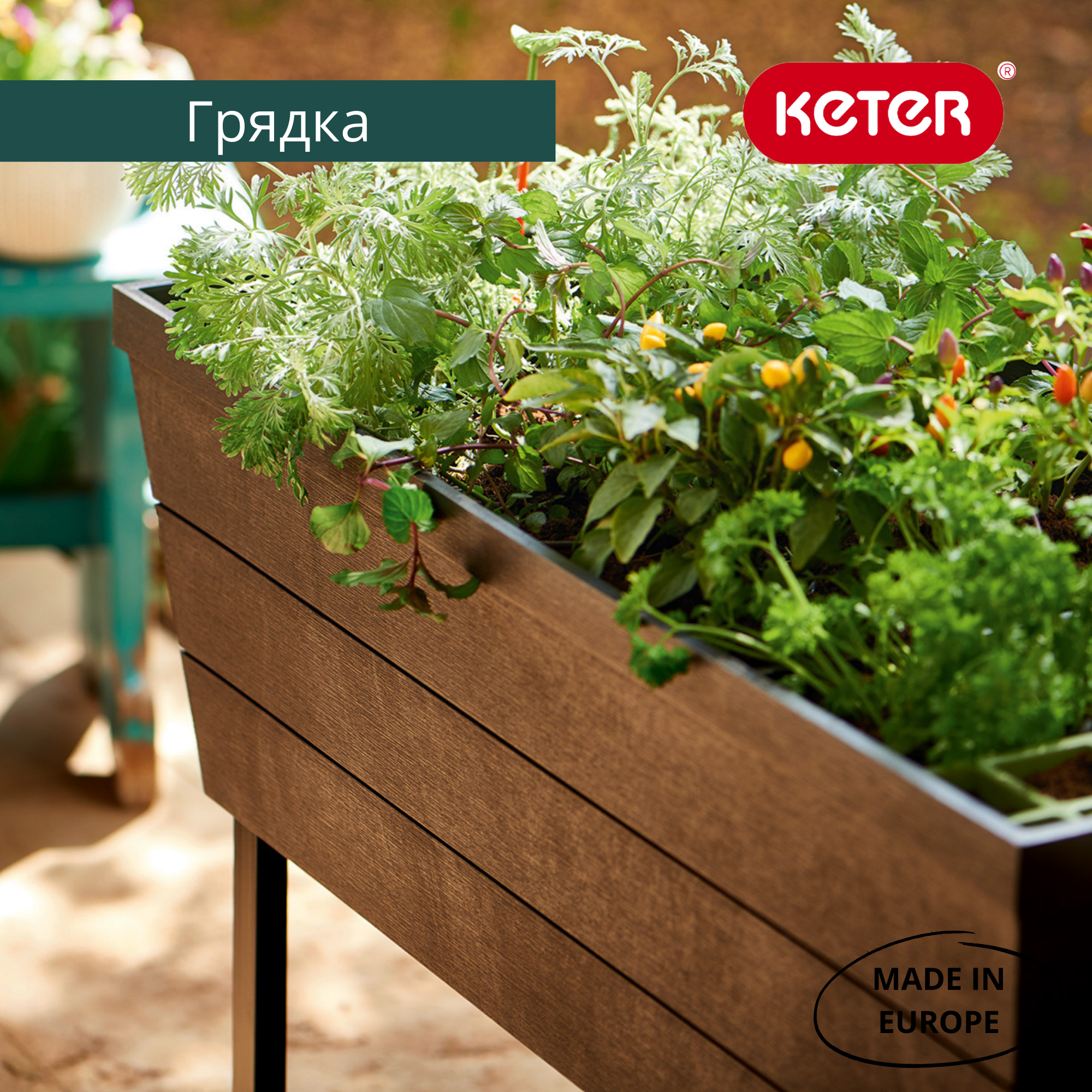 Готовая грядка Урбан Блумер (Urban Bloomer)