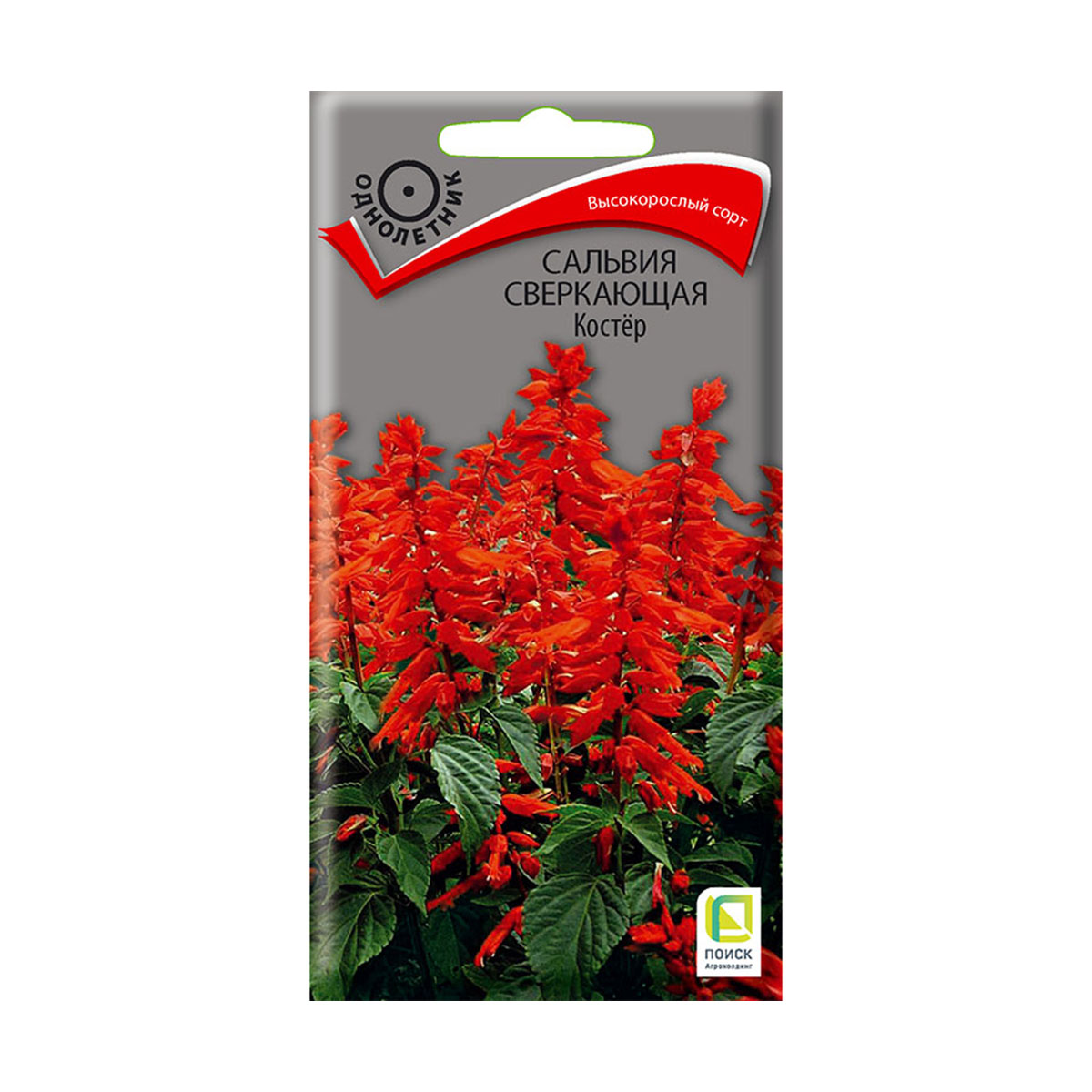 Семена цветов сальвия сверкающая "костер" 0,1 г  ("1) (10/100) "поиск"