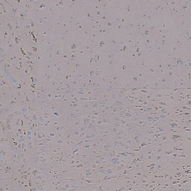 Пробковый пол Corkart Narrow Plank HDF CU3 186w TZ X