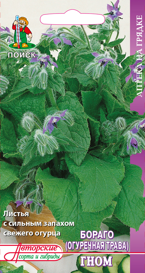 Семена бараго (огуречная трава) "гном" (а) 0,5 г (10/100) "аптека на грядке"