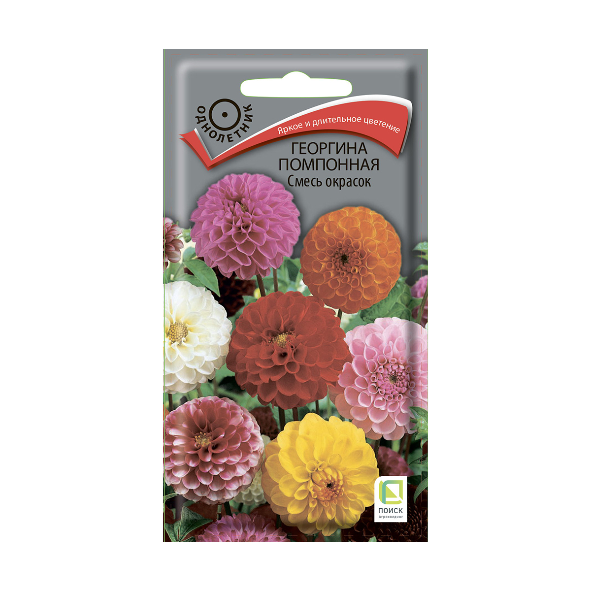 Семена цветов георгина помпонная, смесь окрасок 0,3 г  ("1) (10/100) "поиск"