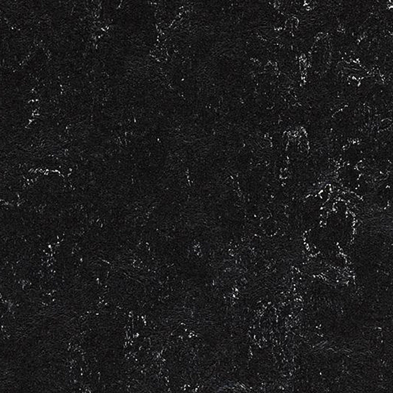 Forbo Marmoleum Marbled Fresco 2939 Black - 2.0