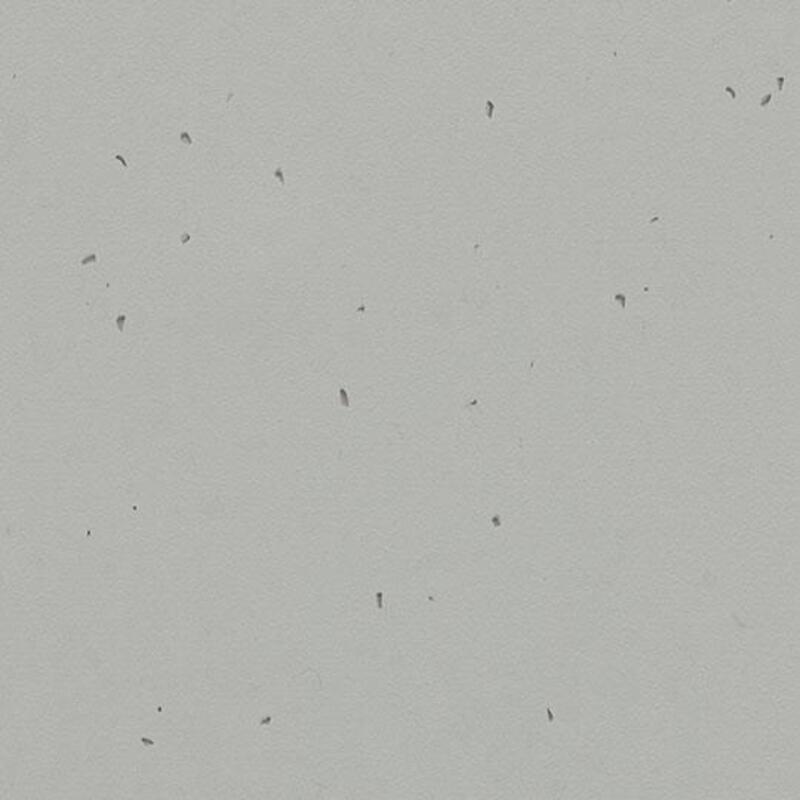 Линолеум Forbo Sphera Energetic 50202 concrete - 2.0