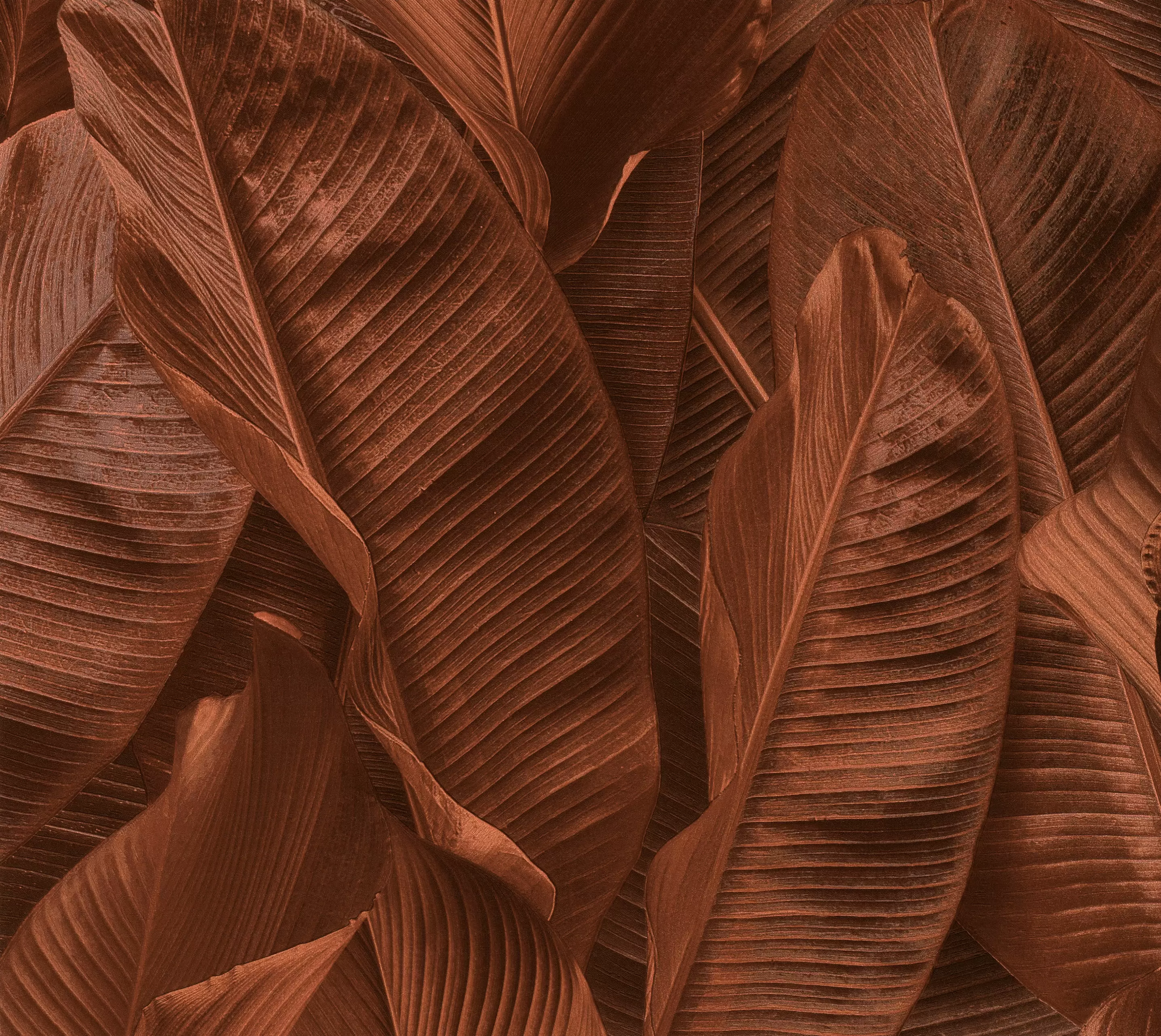 17810 Обои Limonta (Lymphae) (1*6) 10,05х0,53 винил на флизелине