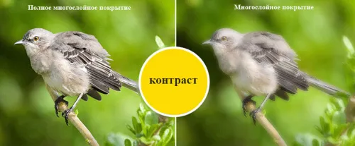 Зрительная труба SVBONY SV409 20–60x80 WP