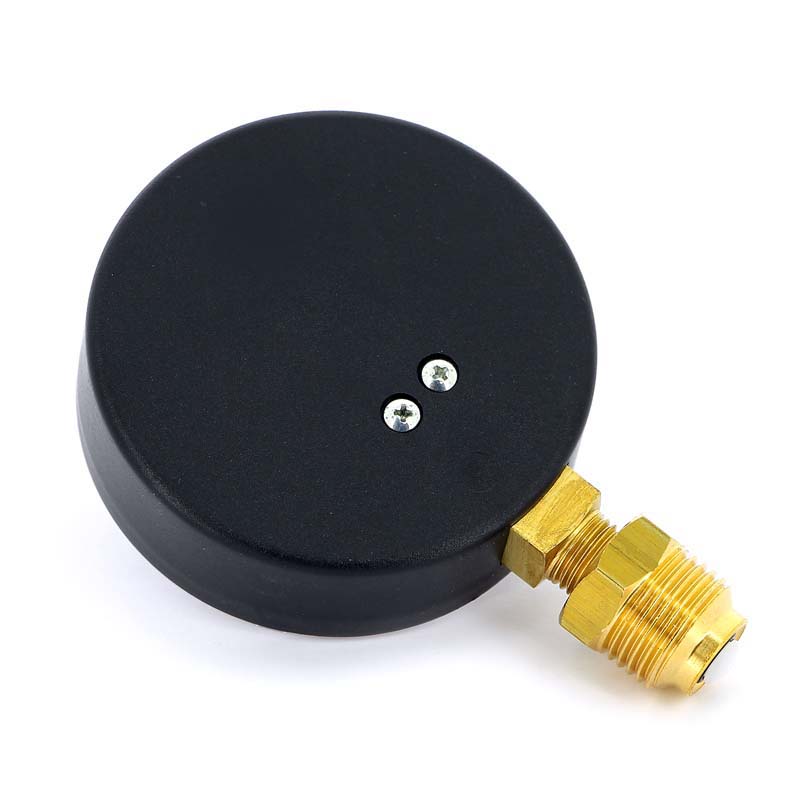 Радиальный термоманометр WATTS d=80 мм, до 120'С, до 10 бар F+R828