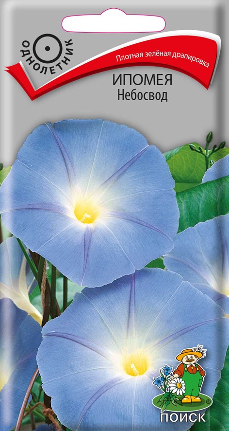 Семена цветов ипомея "небосвод"  ("1) 0,9 г (10/100) "поиск"