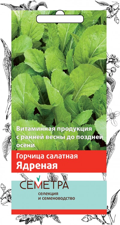 Семена горчица салатная "ядрёная" 1 г (10/100) "семетра"