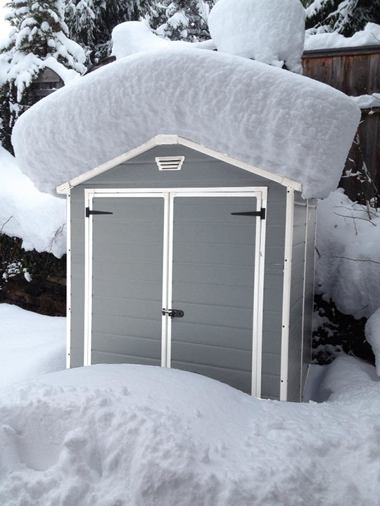 Сарай "Манор 6x5DD" (размеры 175 x 145 )