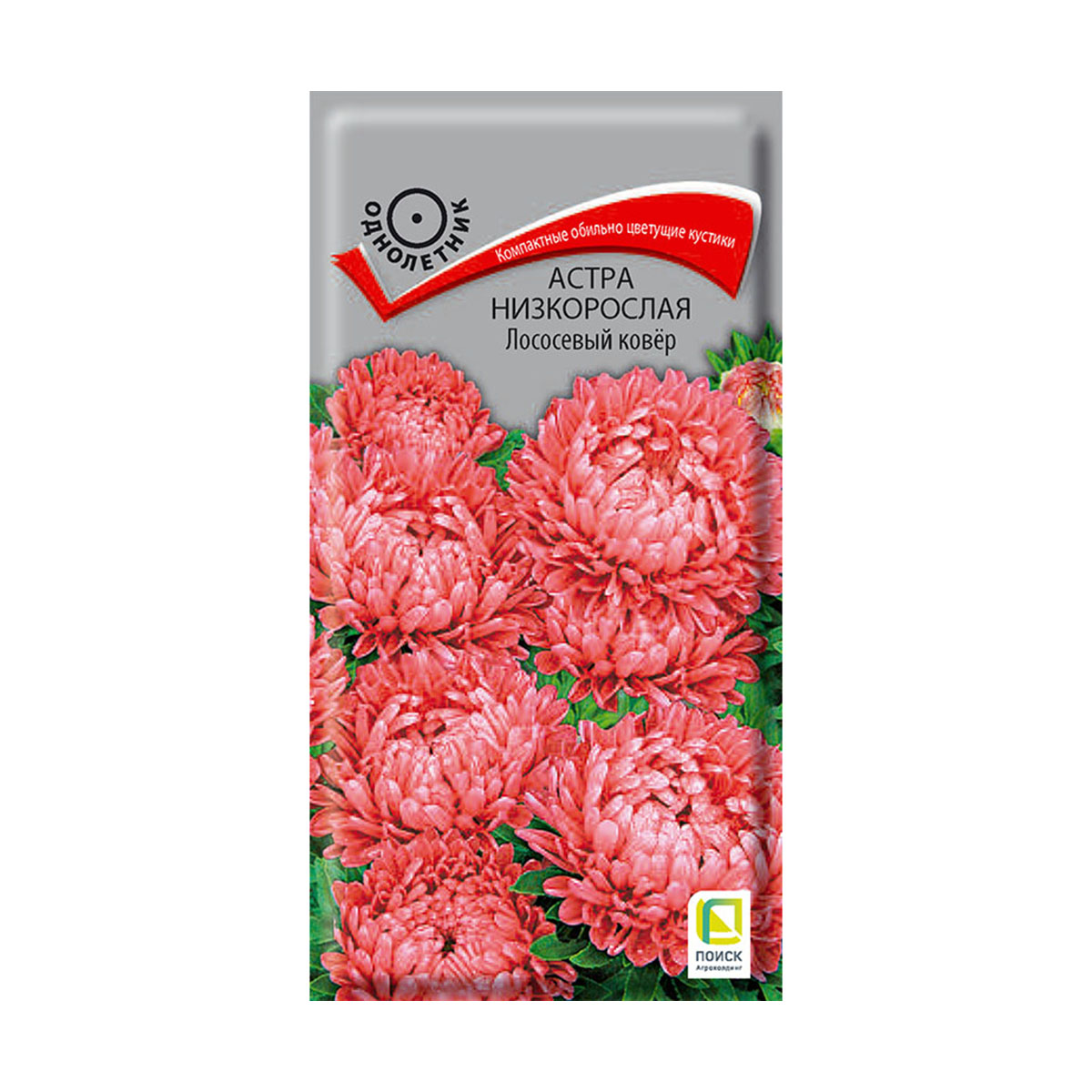 Семена цветов астра низкорослая "лососевый ковер" ("1) 0,2 г (10/100) "поиск"