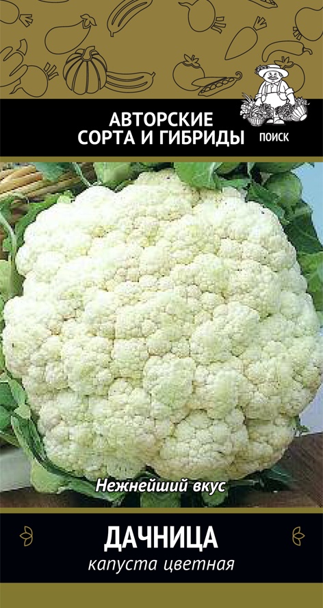 Семена капуста цветная "дачница" (а) 0,5 г (10/100) "авторские сорта и гибриды"