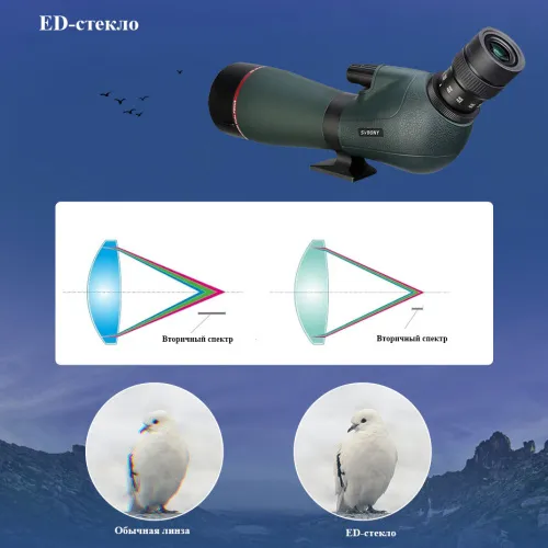 Зрительная труба SVBONY SV406P 20–60x80 ED WP
