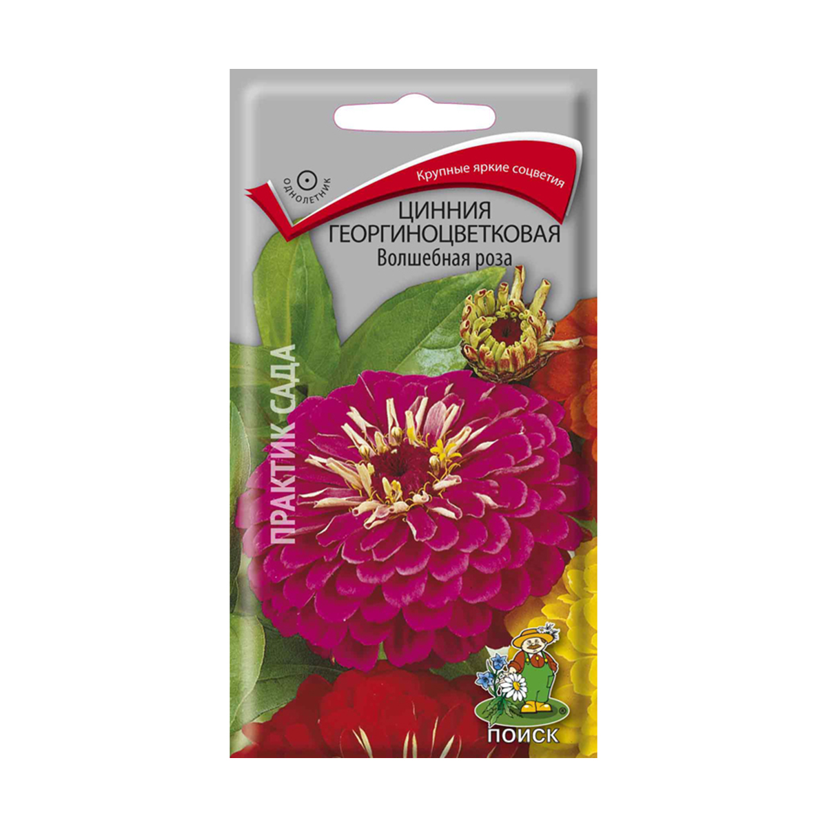 Семена цветов цинния георгиноцветковая "волшебная роза" 0,4 г  ("1) (10/100) "поиск"