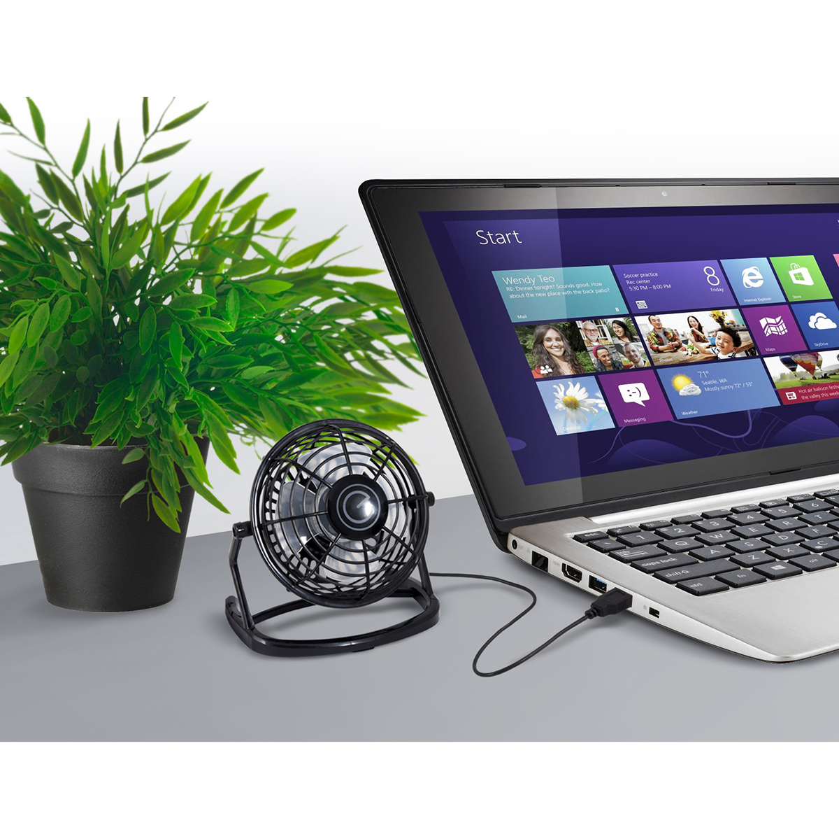 Вентилятор "energy" en-0604 usb настольный, 1 скорость, 2,5 вт (черный) (1/20)