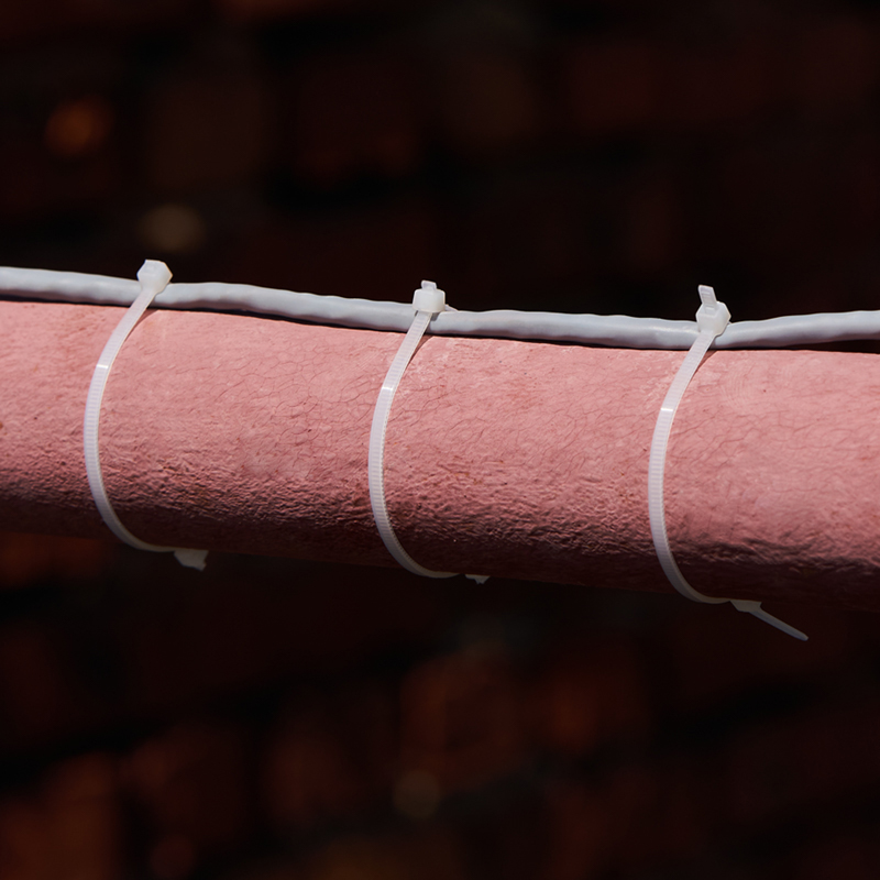 Хомуты нейлон 2,5 х 100 мм (набор 25 шт.), белые (1/10/1400) "rexant" 07-0100-25