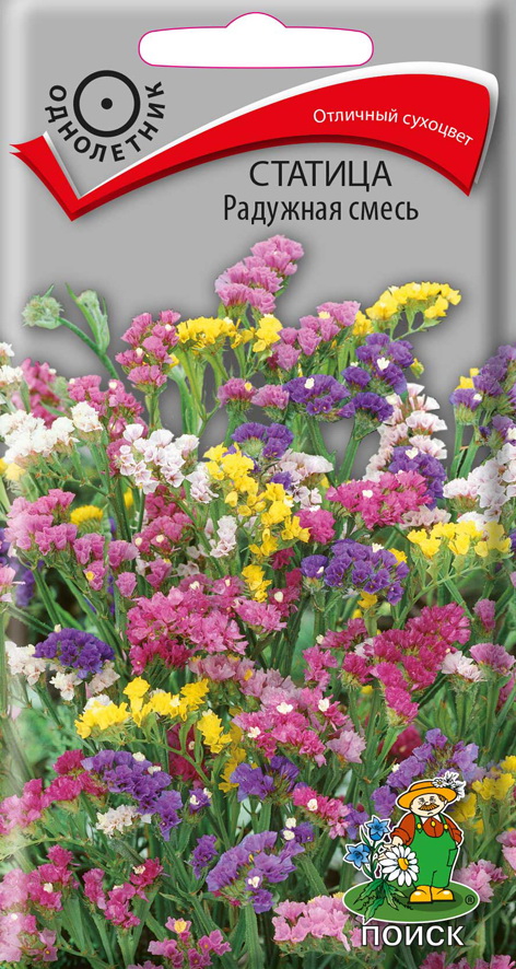 Семена цветов статица "радужная смесь"  ("1) 0,1 г (10/100) "поиск"