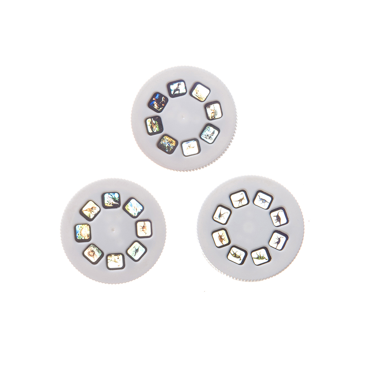 Диапроектор-фонарик, 3 диска со слайдами (динозавры) "bondibon" вв3201