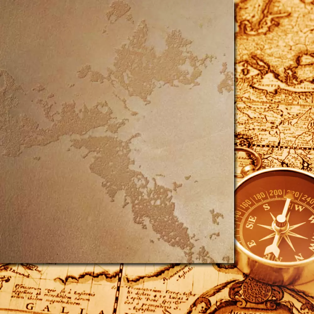 VINCENT DECOR ТЕРРАНОВА декоративный эффект Карта Мира (1кв.м)