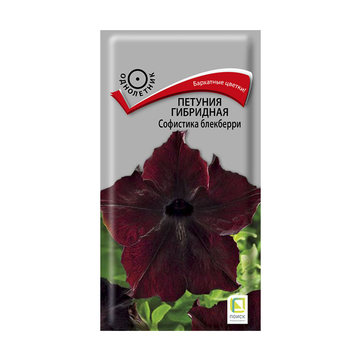 Семена цветов петуния гибридная "софистика блекберри" 5 шт. ("1) (10/100) "поиск"
