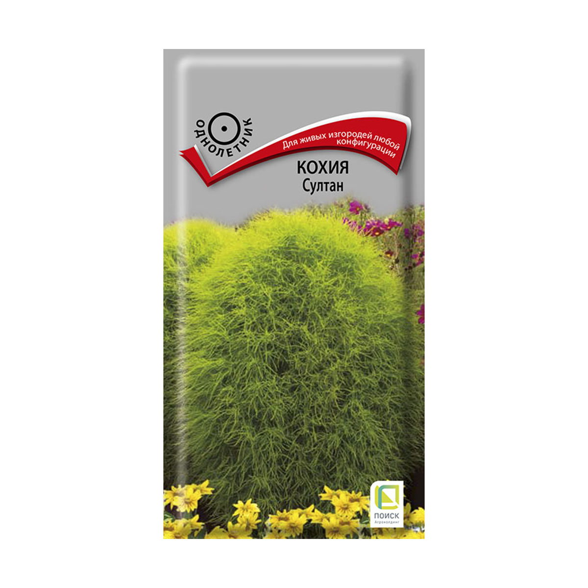 Семена цветов кохия "султан" 0,1 г  ("1) (10/100) "поиск"