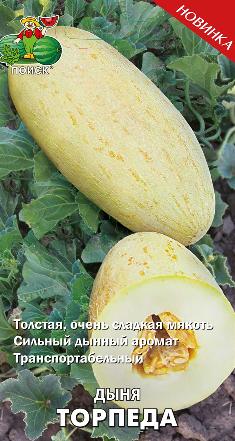 Семена дыня "торпеда" (а) 15 шт. (10/100) "поиск"